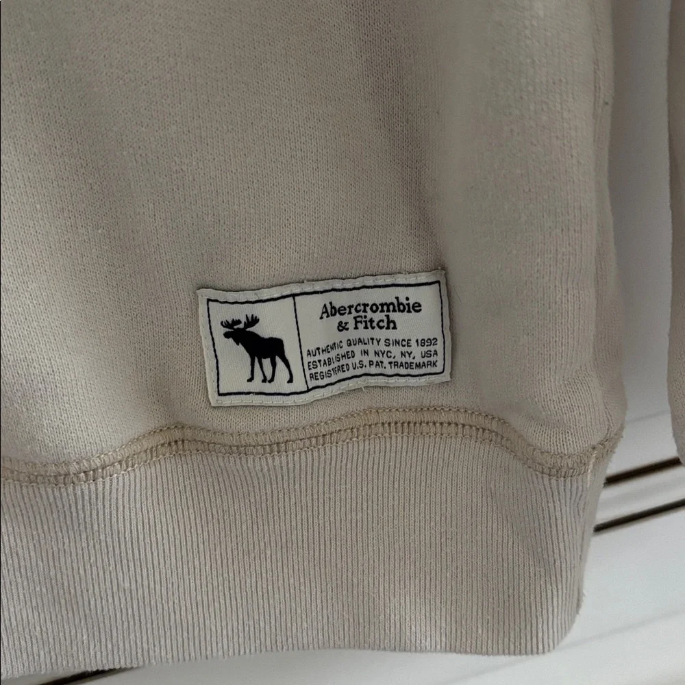 Abercrombie & Fitch Tan Crewneck Pullover Sweatshirt Kids Relaxed Fit Size 15/16